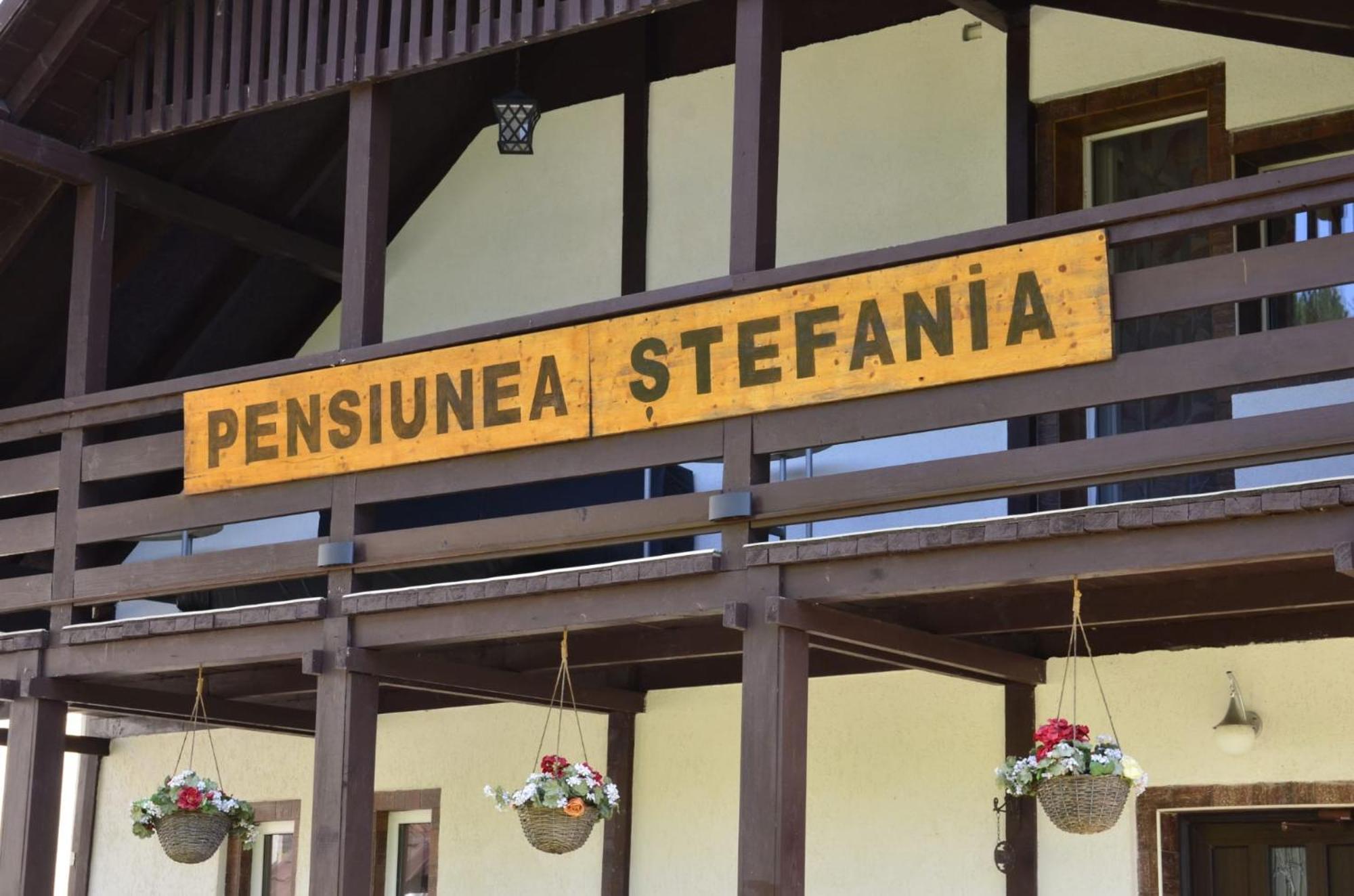 Pensiune Stefania Хунедоара Екстер'єр фото